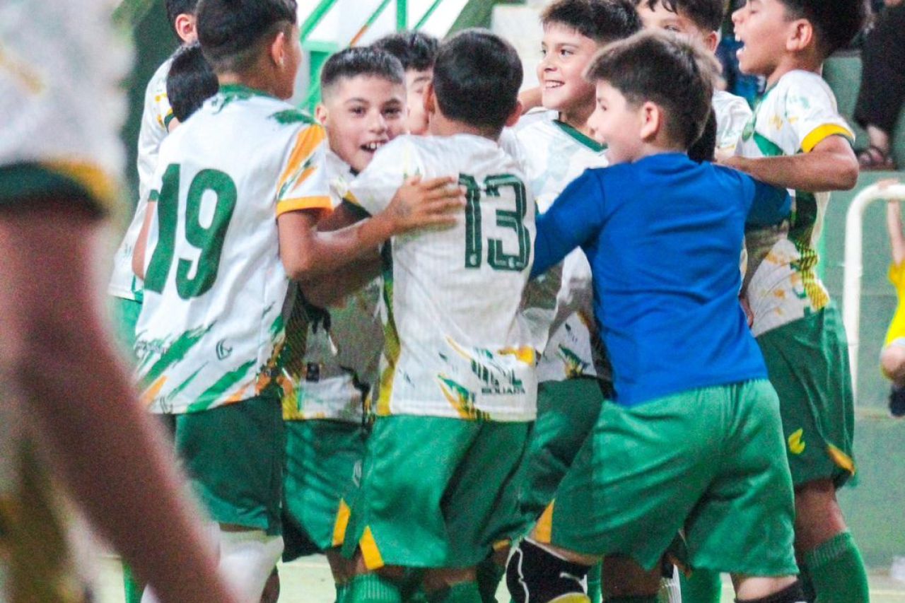 WhatsApp Image 2025-11-22 at 08.48.47